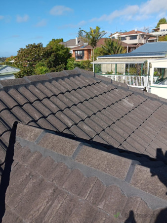 Flexi pointing of ridge caps