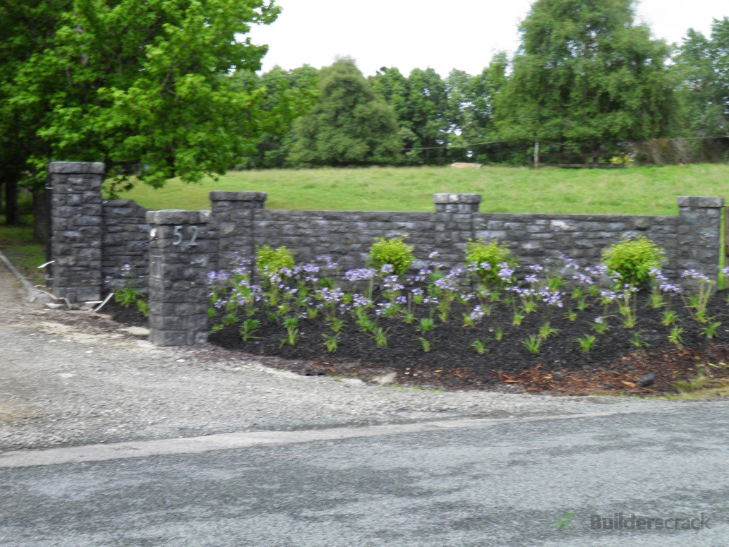 Entrance low maintenance planting