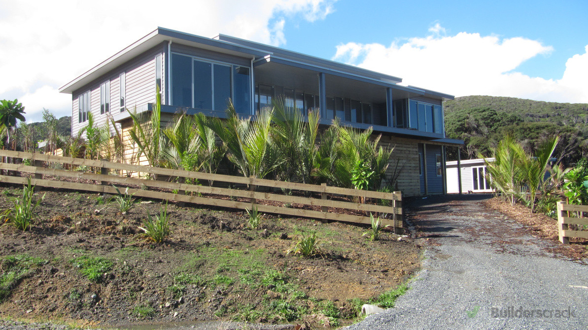 Establishing a Nikau forest