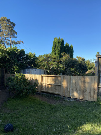 Pulled down two sections of damaged fence and built a ‘neighbour friendly’ styled fence all in a day