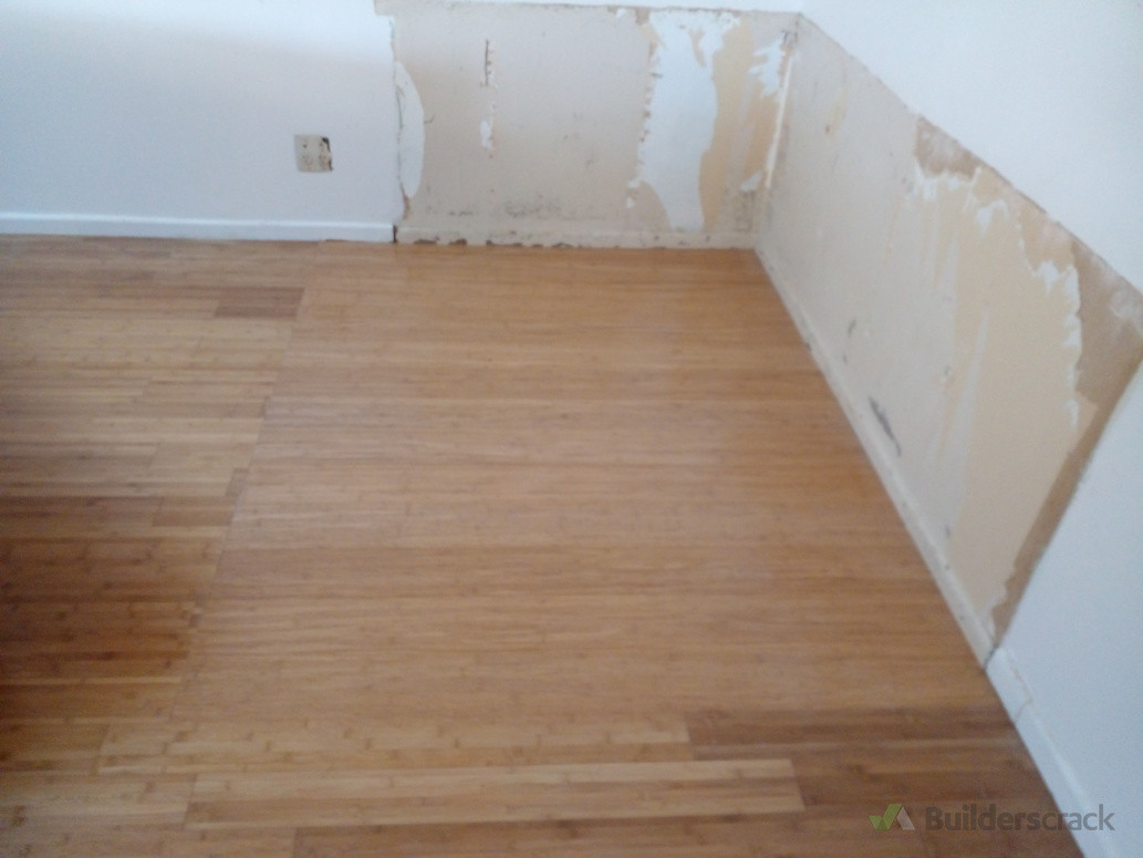 Bamboo flooring