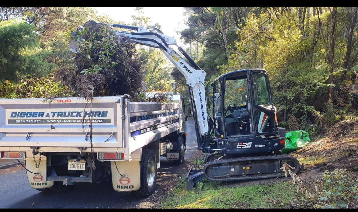 Titirangi scrub section cleanup