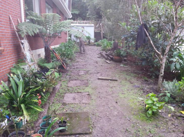Pathway and raised garden BEFORE