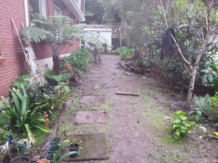 Pathway and raised garden BEFORE