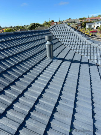 Roof painting