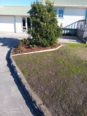 New edging and lawn seed