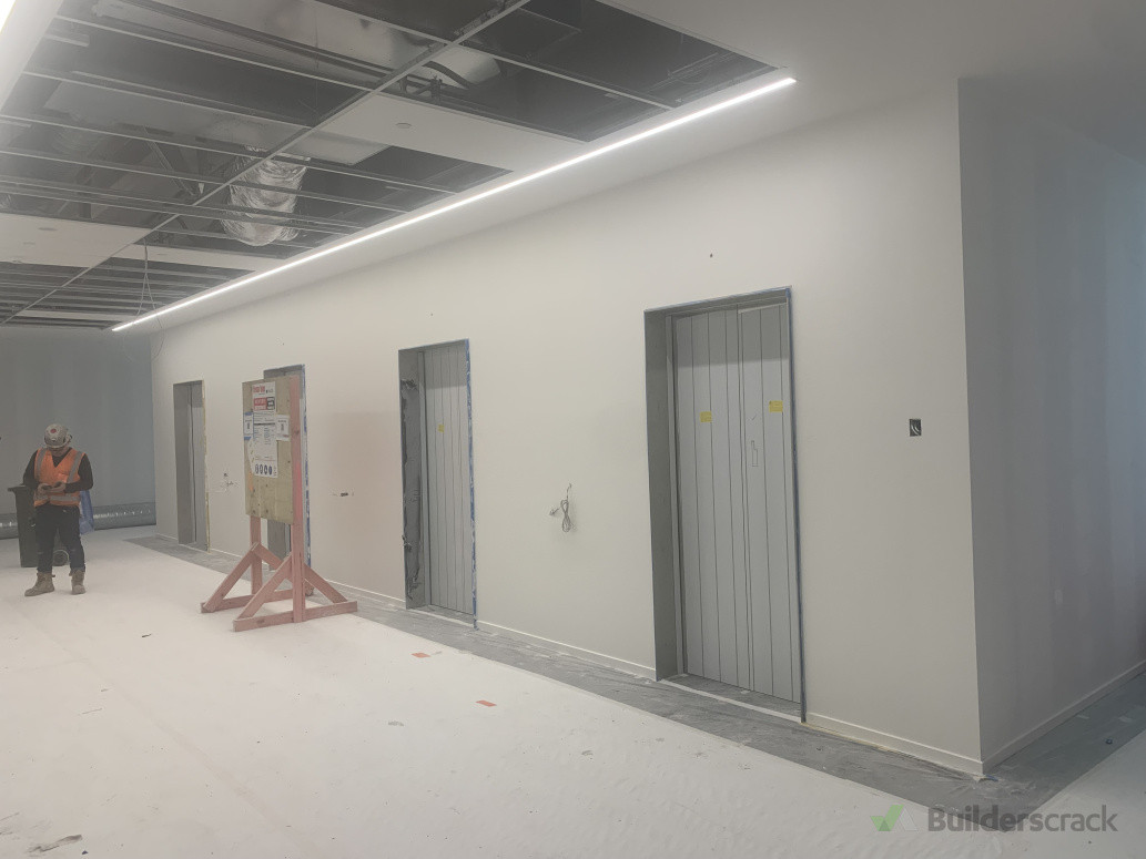 Lift Area walls painting