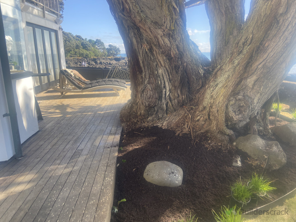 New garden created around pōhutukawa tree