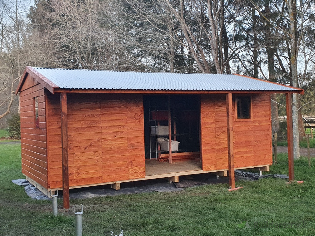 Shed on screws!