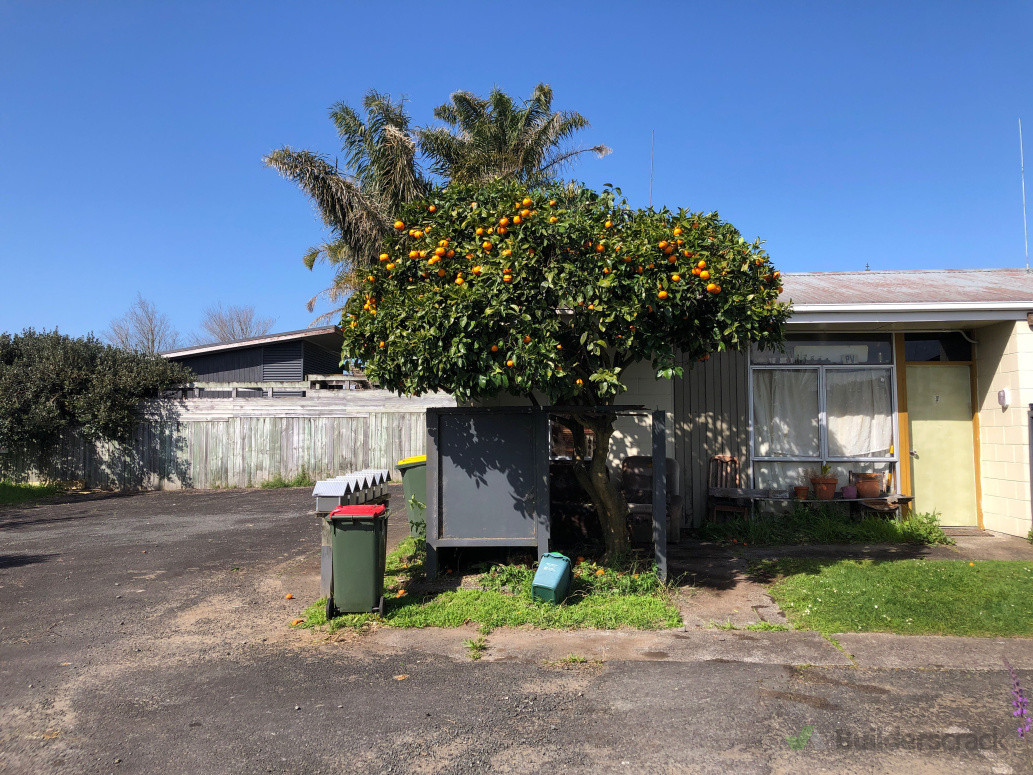 Orange Tree Pruning