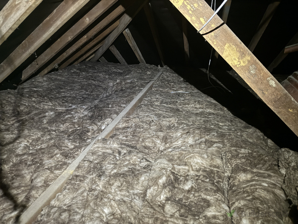 Earthwool Ceiling Top-Up