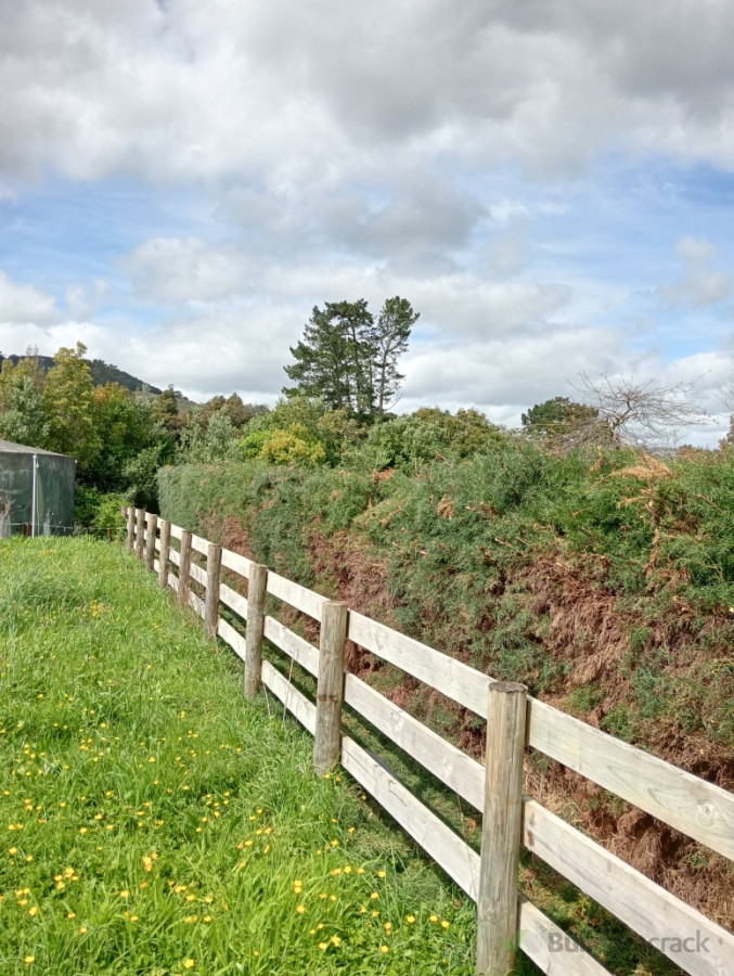 Hedge trim