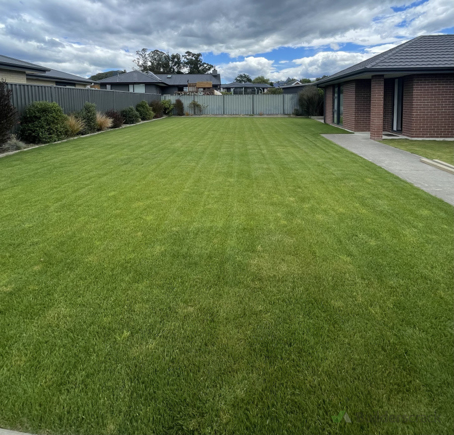 Lawn excavation, prep and ready lawn