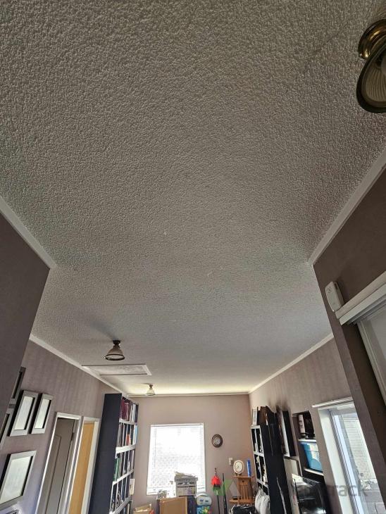 Remove texture from ceiling and skim ready for painting ( 1027537