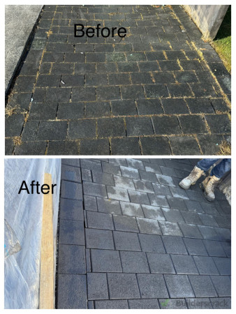 Paver repair, Wash & Paint