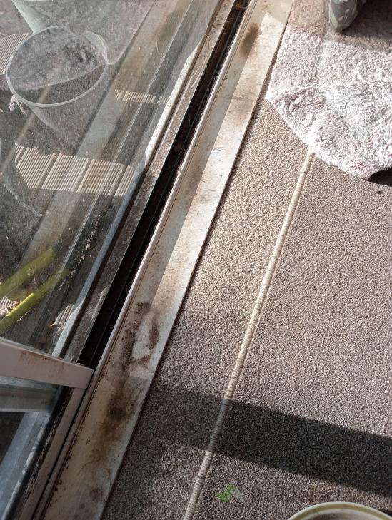 Over due deep clean for grubby house ( 1028851) Builderscrack