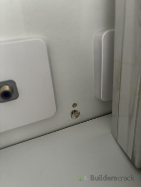 Fill, Sand and Paint Touch Ups ( 1028991) Builderscrack