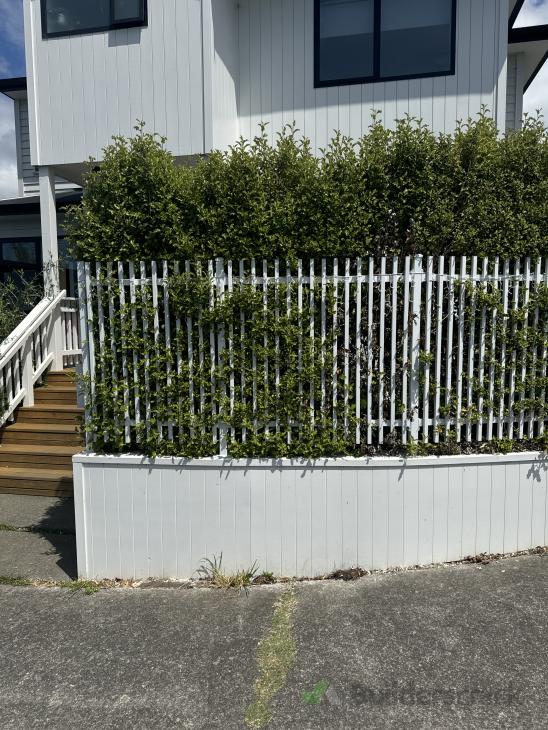 Install Front of House Gate and Fence ( 1029056) Builderscrack