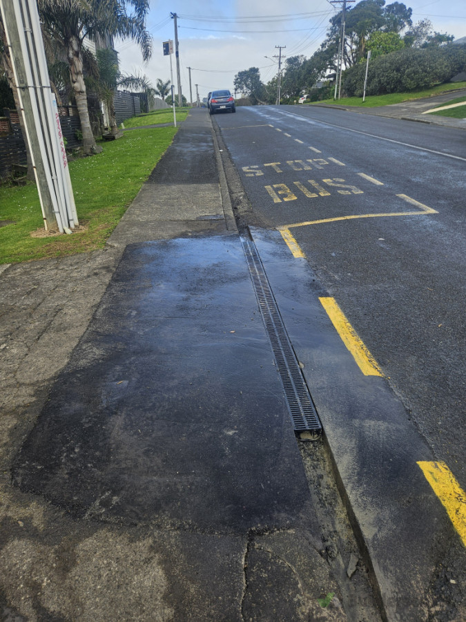 Raised crossing to stop car scraping