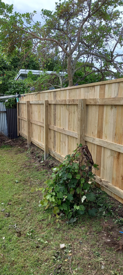 New Fence