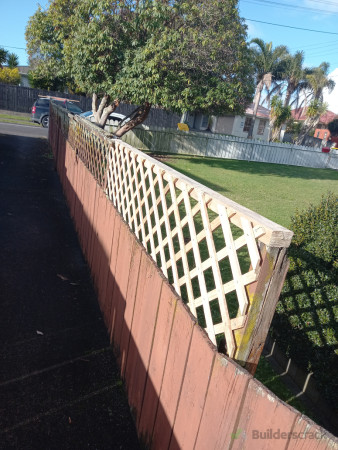 Repair trellis