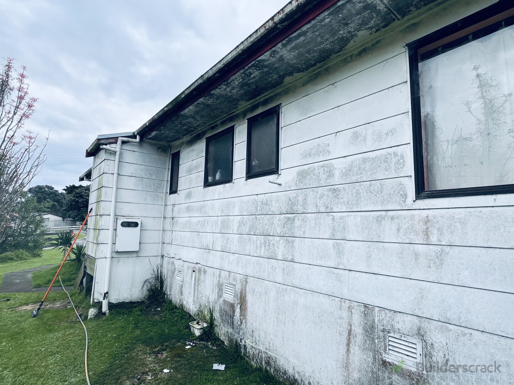 Before shot of one of the dirtiest houses we’ve seen.