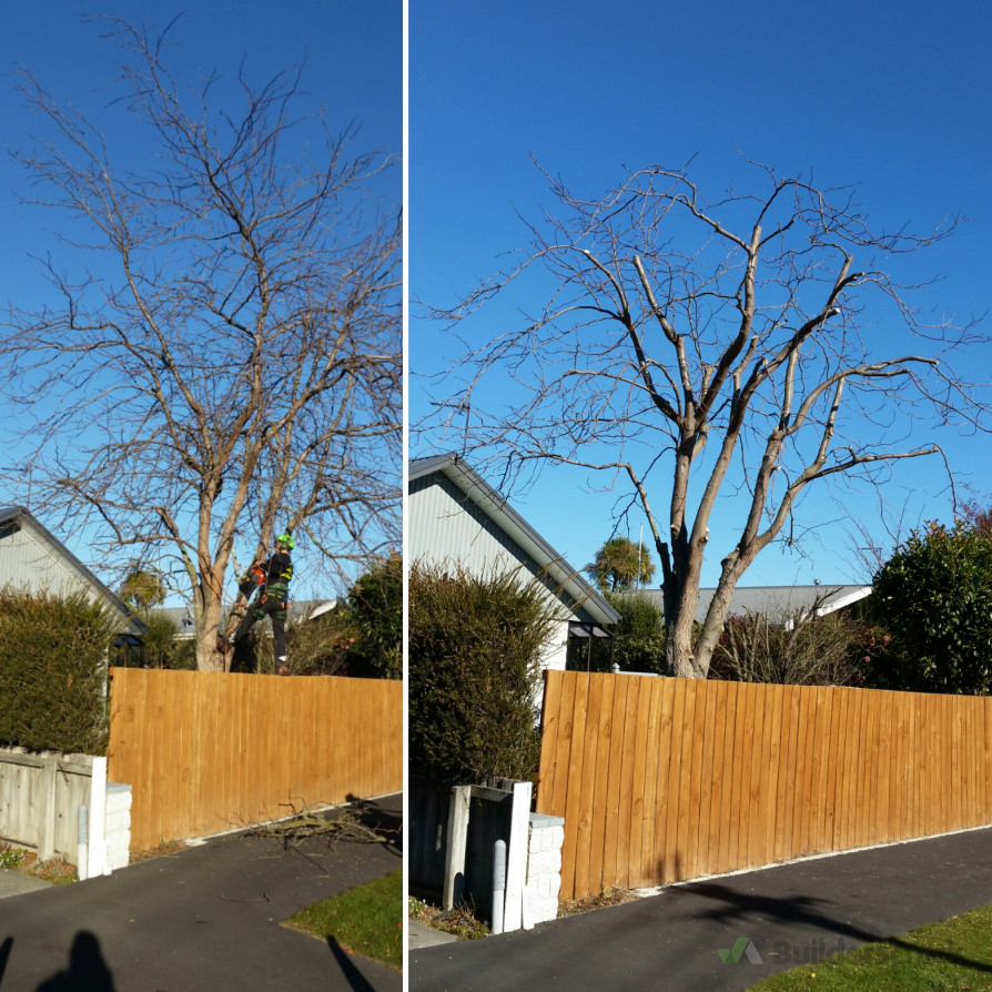 Small tree reduction