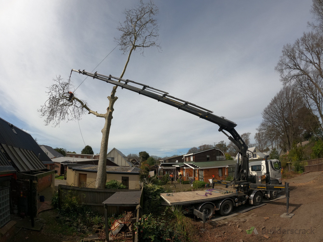 Hiab Tree removal for technical situations