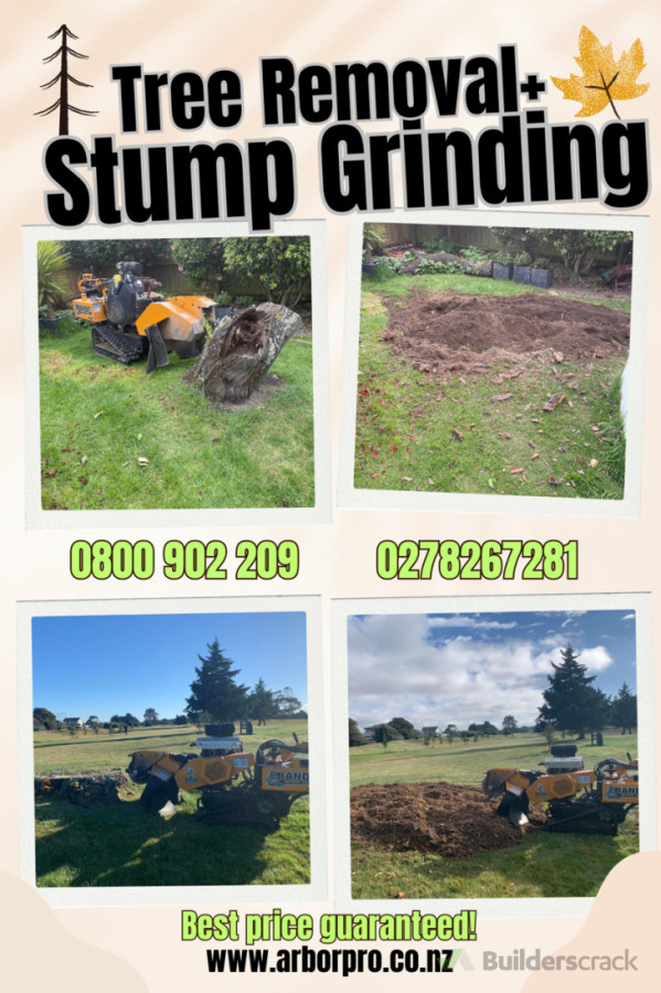 Stump grinding anywhere in Canterbury