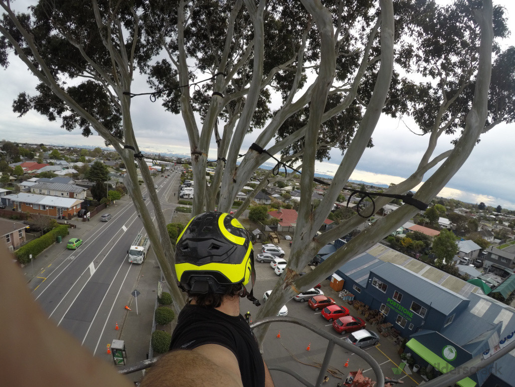 Tree bracing installation