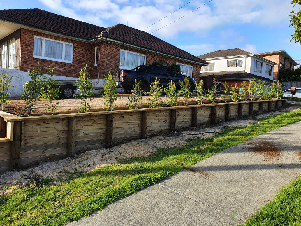 Retained hedging and leveling ground for lawn