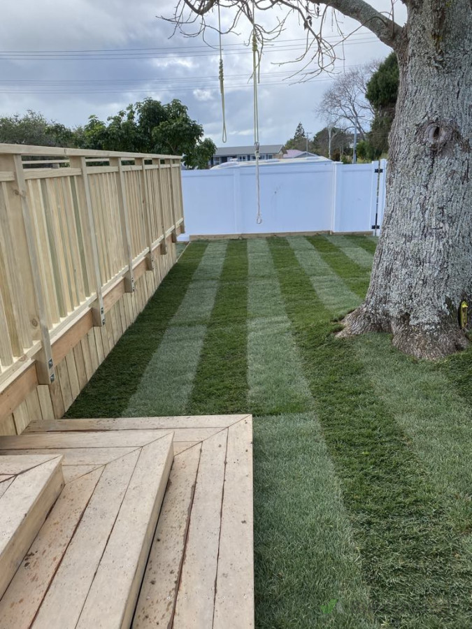 Ready Lawn