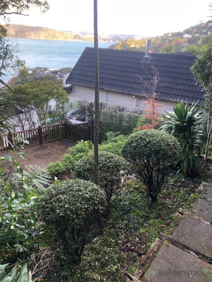 Haitaiti - Hedge trim & ball trim