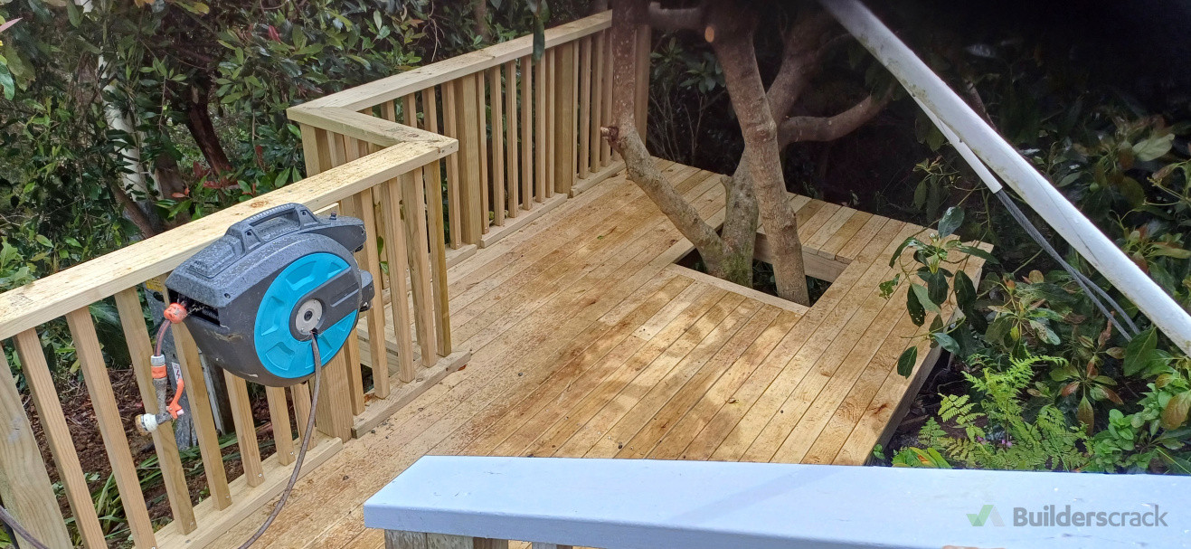 Decking and rail around existing avocado tree for easy pickings.