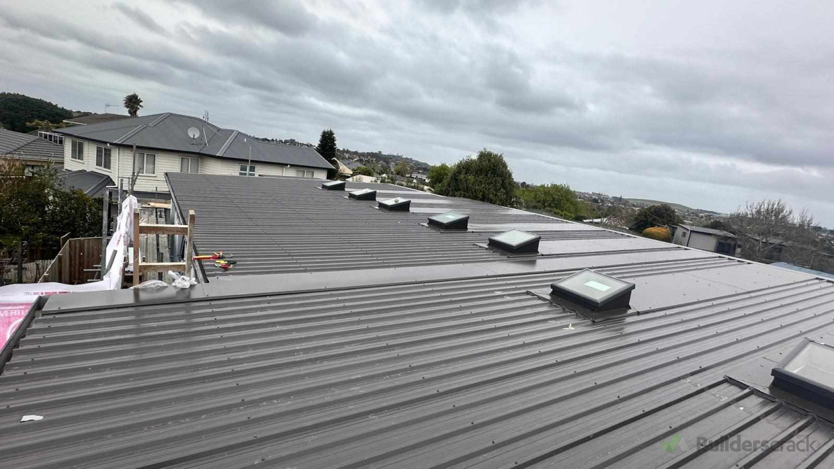 Sleek Roof install with Skylights