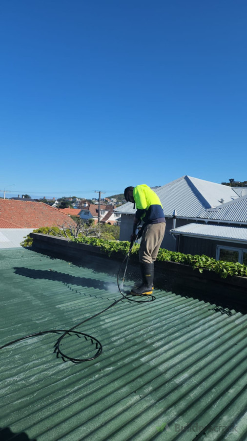 Cleaning up roof in Dunedin prior to the application of two waterproofing coats.