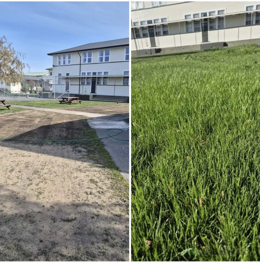 1425m2 new lawn