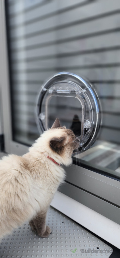 Double-glazed Cat Door Install