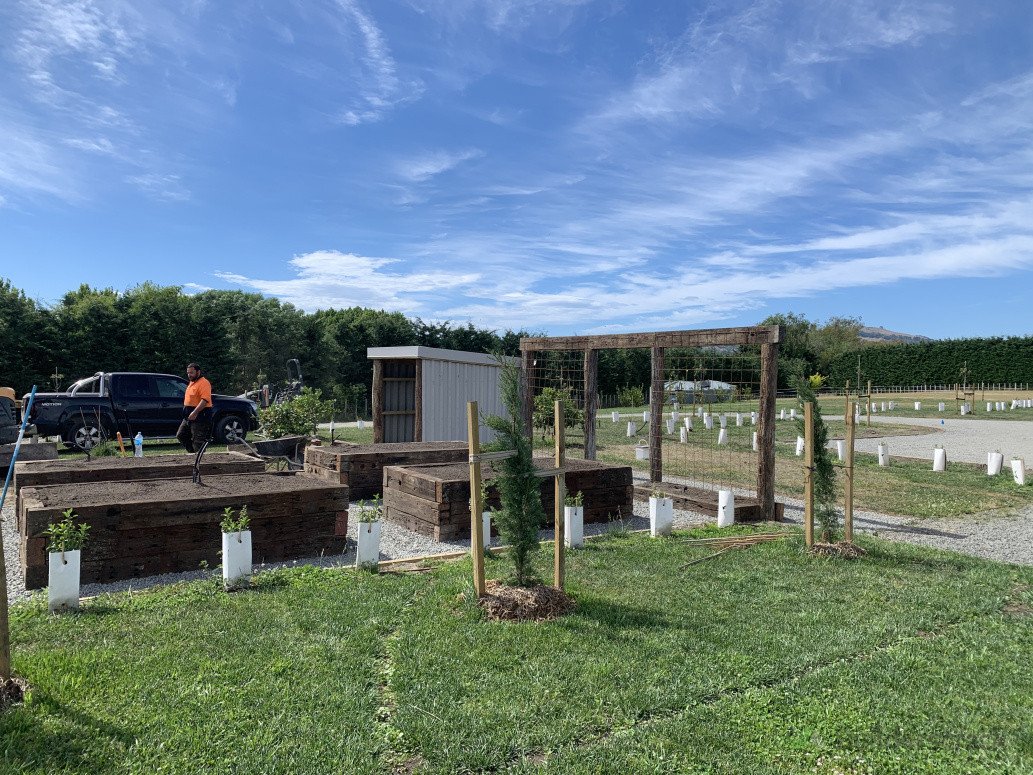 Raised Garden Beds and shed