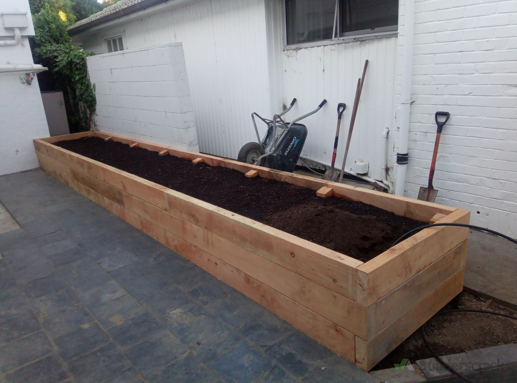 Macrocarpa raised planter