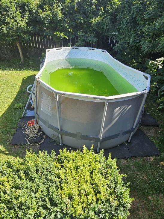 Green Pool Clean Builderscrack