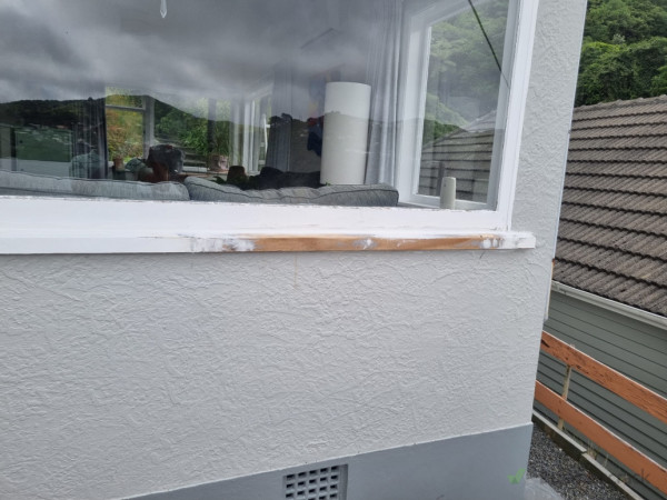 Window seal repair