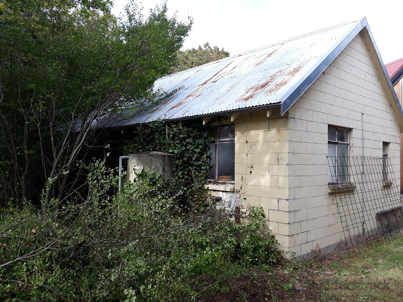 Run down hall overgrown