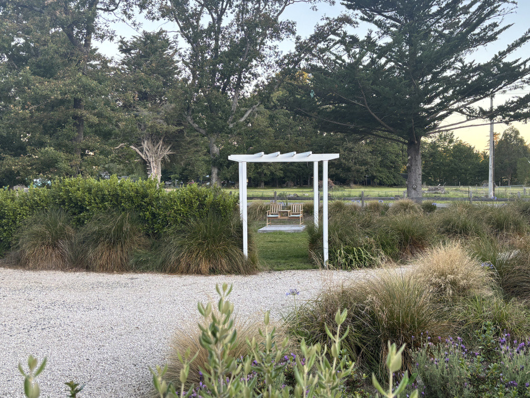 Have planted more that 1000 plants so far