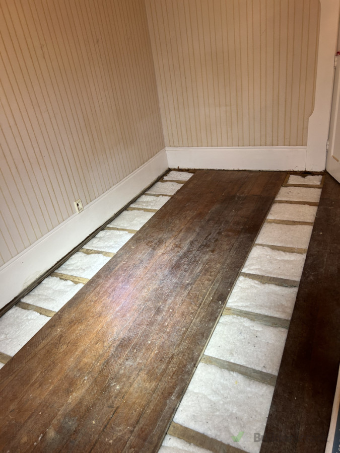 Warming up with Mammoth insulation