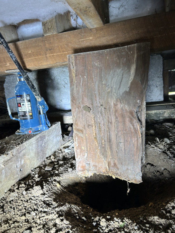 Nothing is below the surface when it comes to native piles.