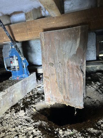 Nothing is below the surface when it comes to native piles.