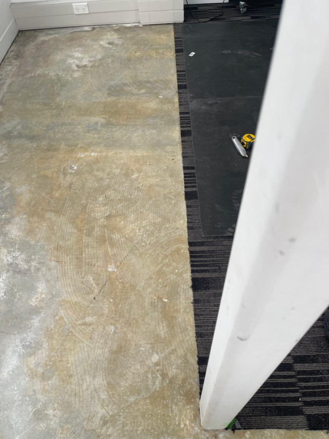 before carpet done-1