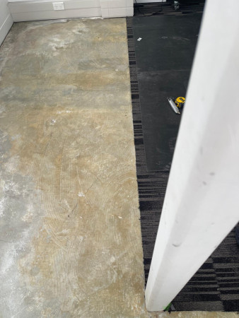 before carpet done-1