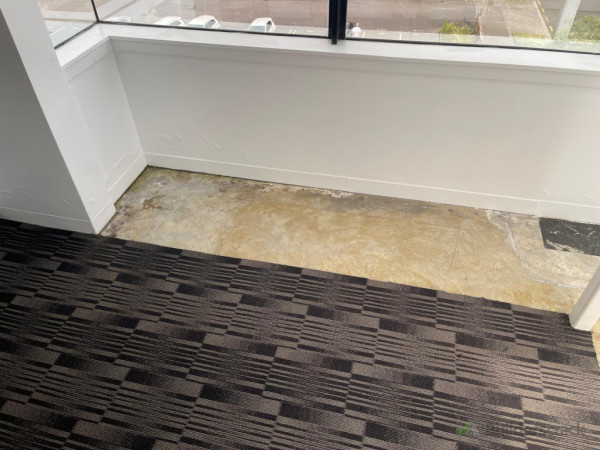 before carpet done -2